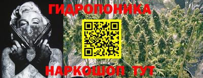 МДПВ Тверь